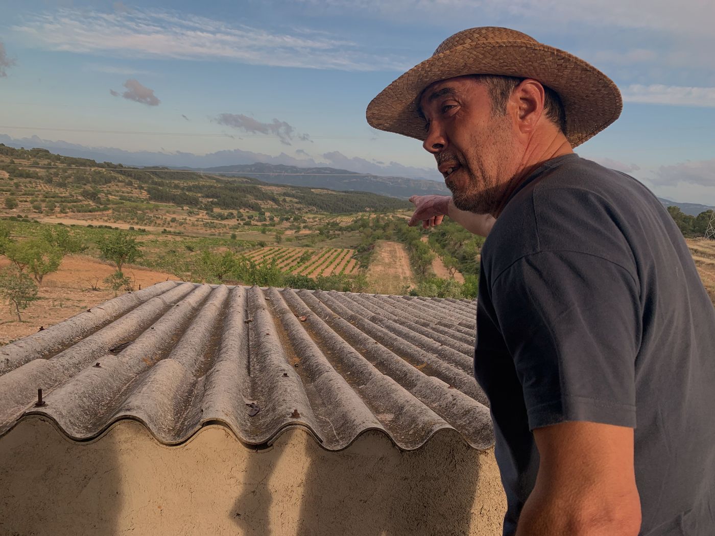 Laureano Serres, vino natural.