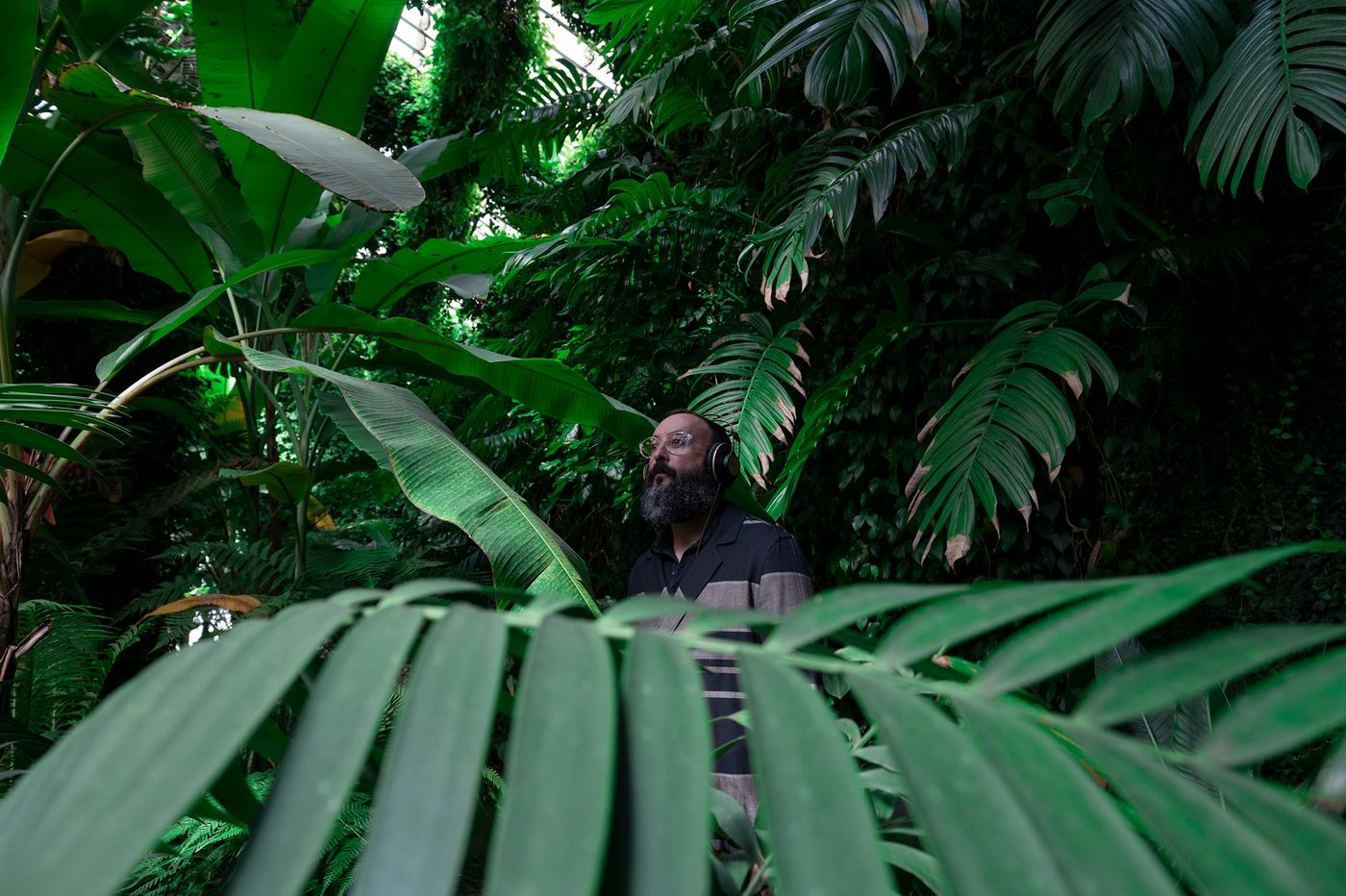 En el jardín de las delicias (musicales). Foto: Alfredo Arias