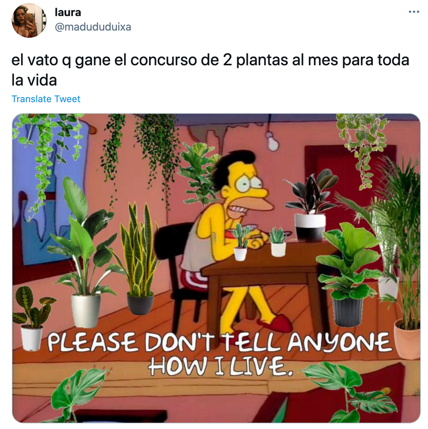 Solo son dos plantas cada día durante el resto de tu vida. <a href="https://twitter.com/madududuixa/status/1383868547328221186" target="_blank">Ver tuit</a>
