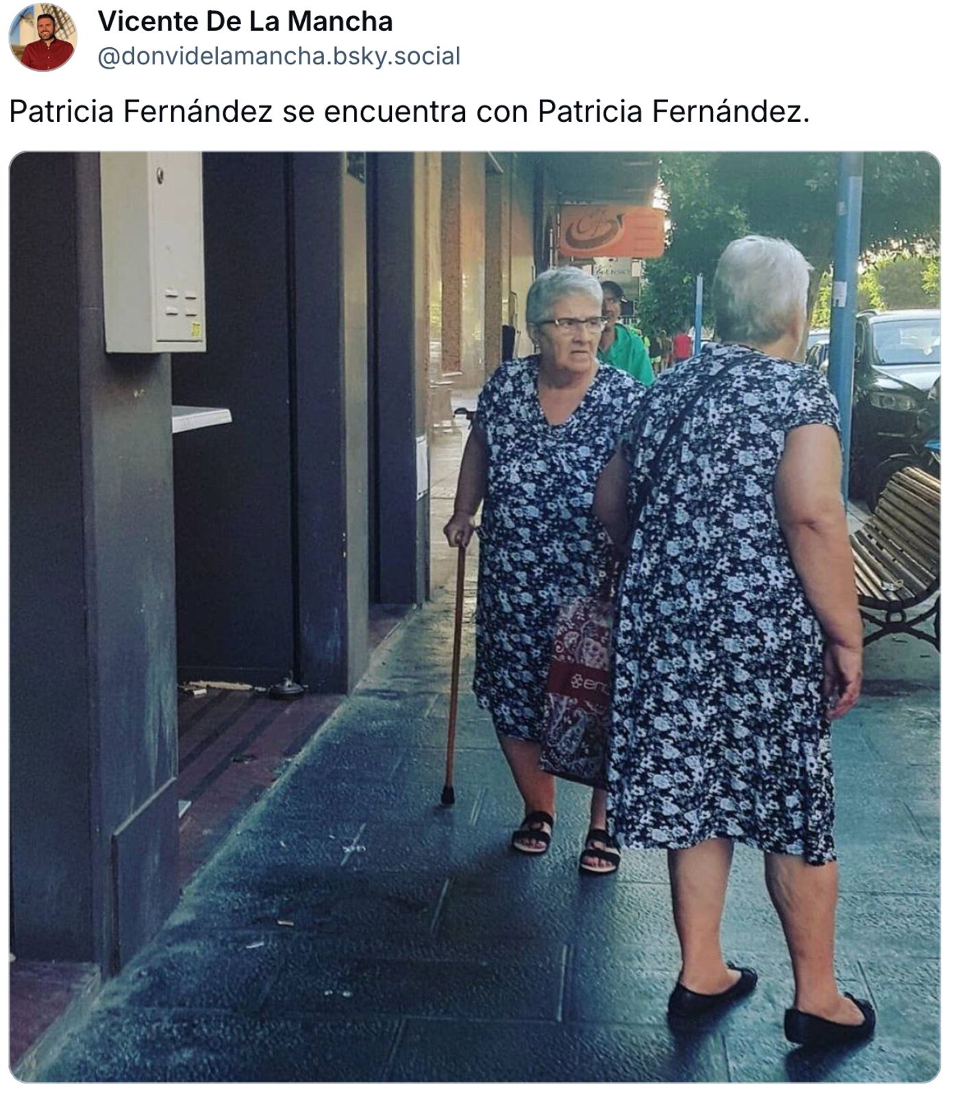 La abuela replicante.<a href="https://bsky.app/profile/donvidelamancha.bsky.social/post/3lrt5uqhdn22r" target="_blank"> Ver post </a>