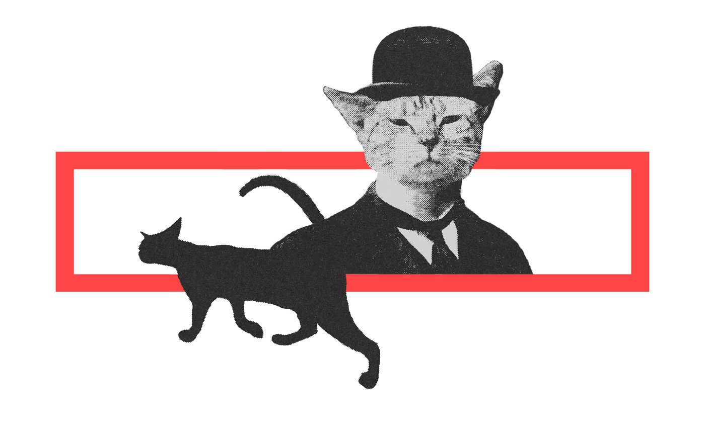 https://assets.primaverasound.com/psweb/43n9ulvhk0k5h2jbbge9_1784125749548.jpg