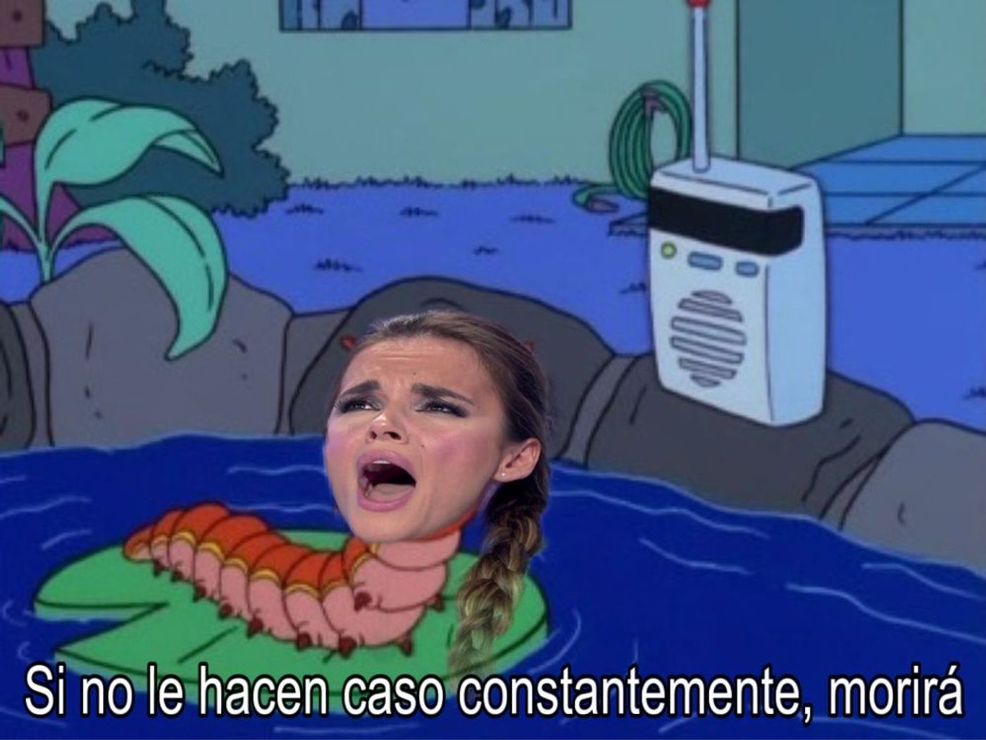 Pobrecita.<a href="https://bsky.app/profile/robbhaifisch.bsky.social/post/3lq3u5cd2lc2u" target="_blank"> Ver post </a>
