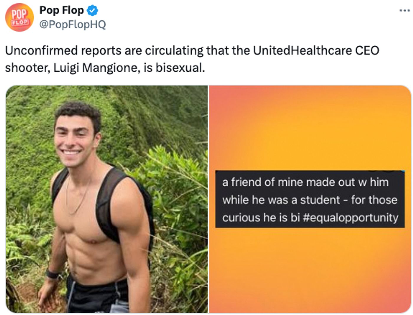 Pues ya lo sabéis, según un amigo de alguien: es bi.<a href="https://x.com/PopFlopHQ/status/1866221269177319574" target="_blank"> Ver tuit </a>