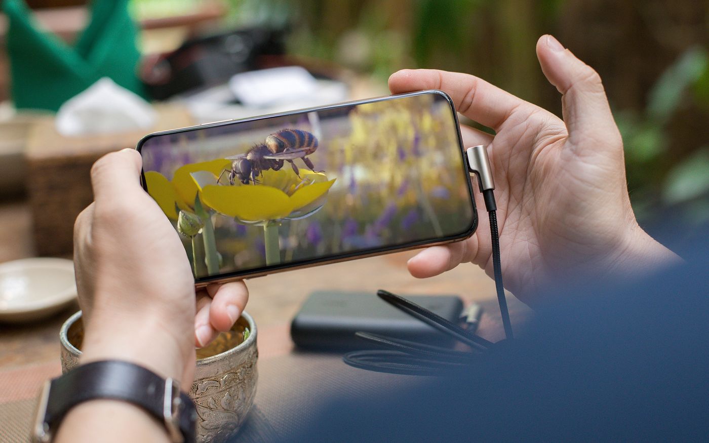 “Pollinator Park”: la importancia de las abejas.