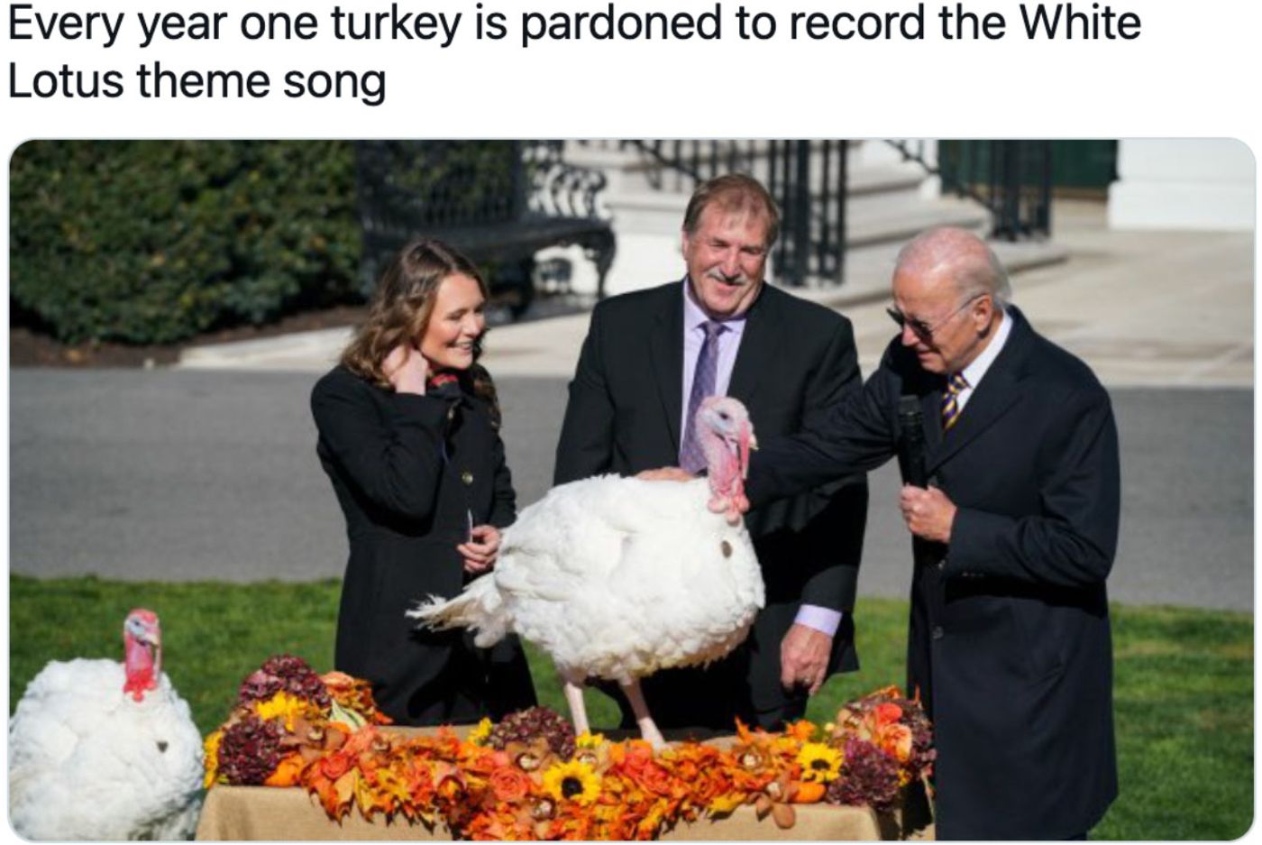 Y el pavo ganador es...