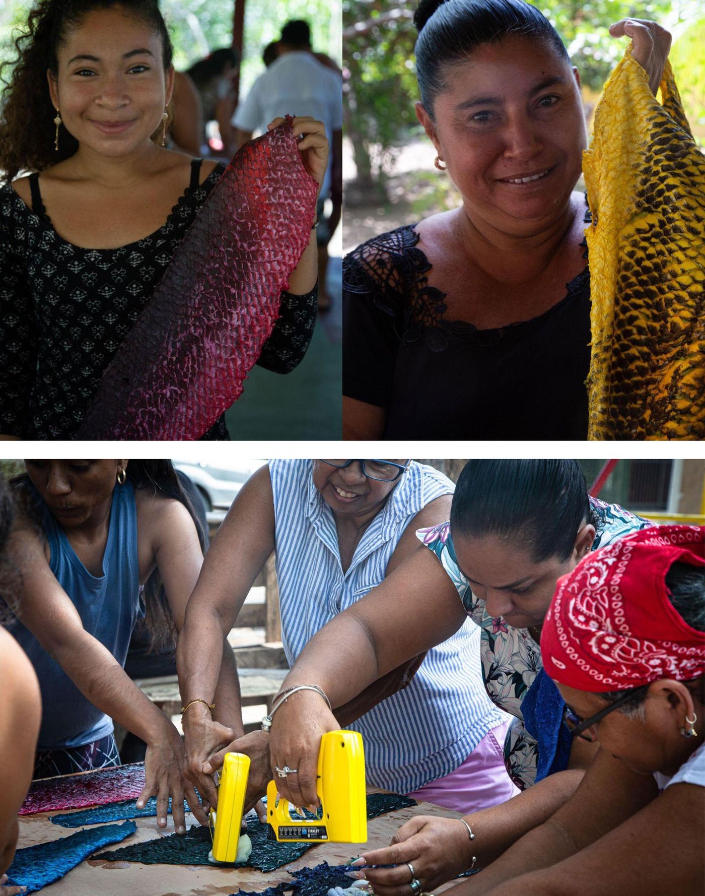 Resistentes pieles de peces. Foto: Vos Honduras
