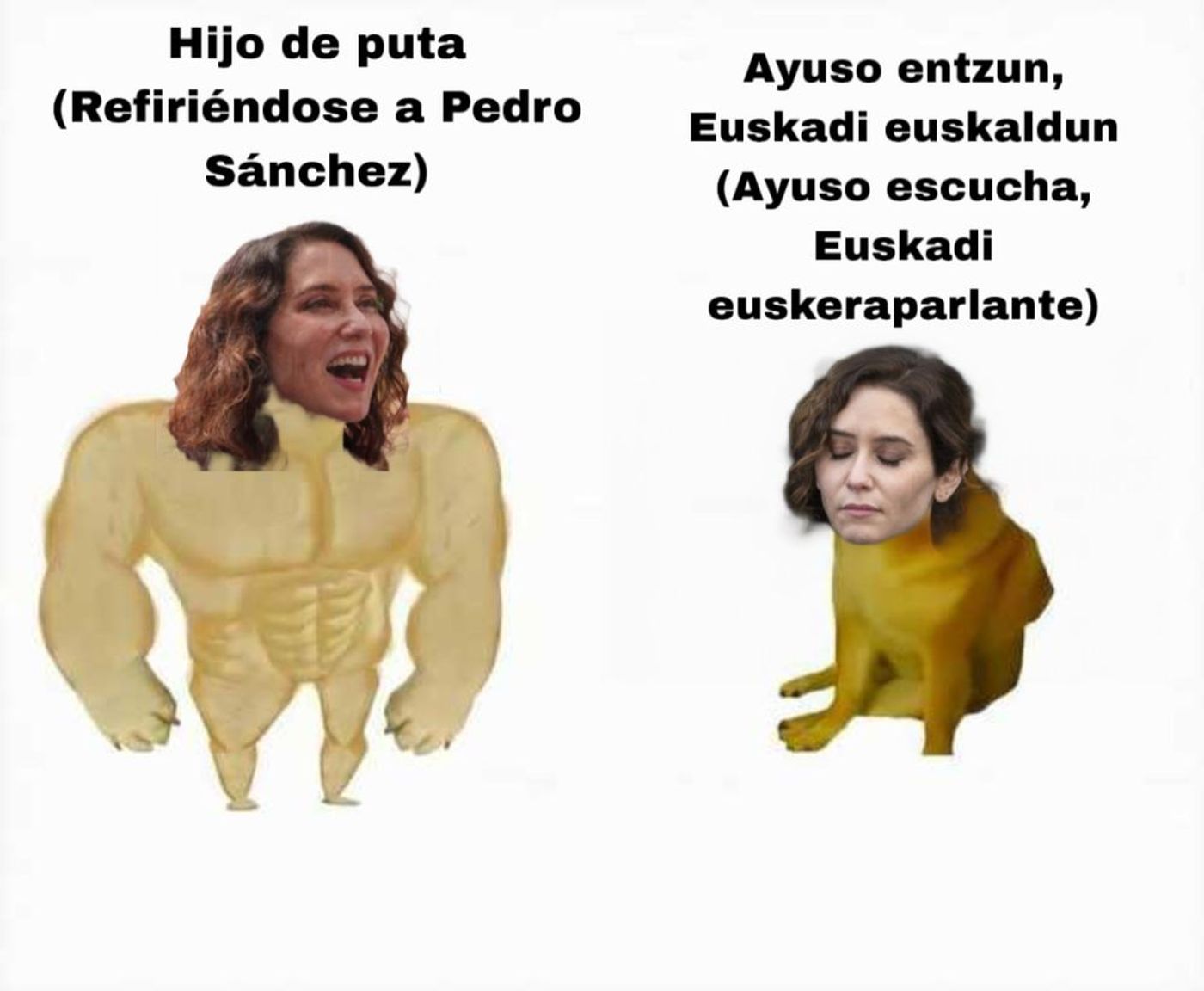 Hasta el coño de Ayuso.<a href="https://bsky.app/profile/robbhaifisch.bsky.social/post/3lzxz4xvjdc2p" target="_blank"> Ver post </a>