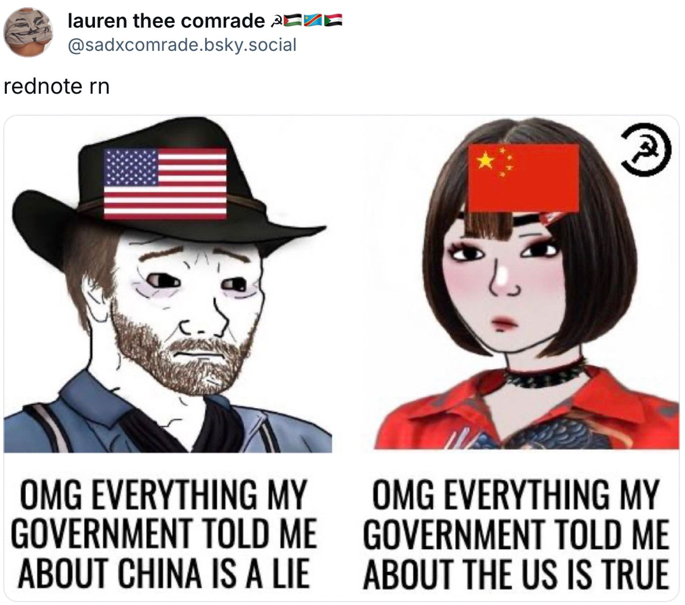 Porque parece mentira la verdad nunca se sabe.<a href="https://bsky.app/profile/sadxcomrade.bsky.social/post/3lg2ae24ygk2n" target="_blank"> Ver post </a>
