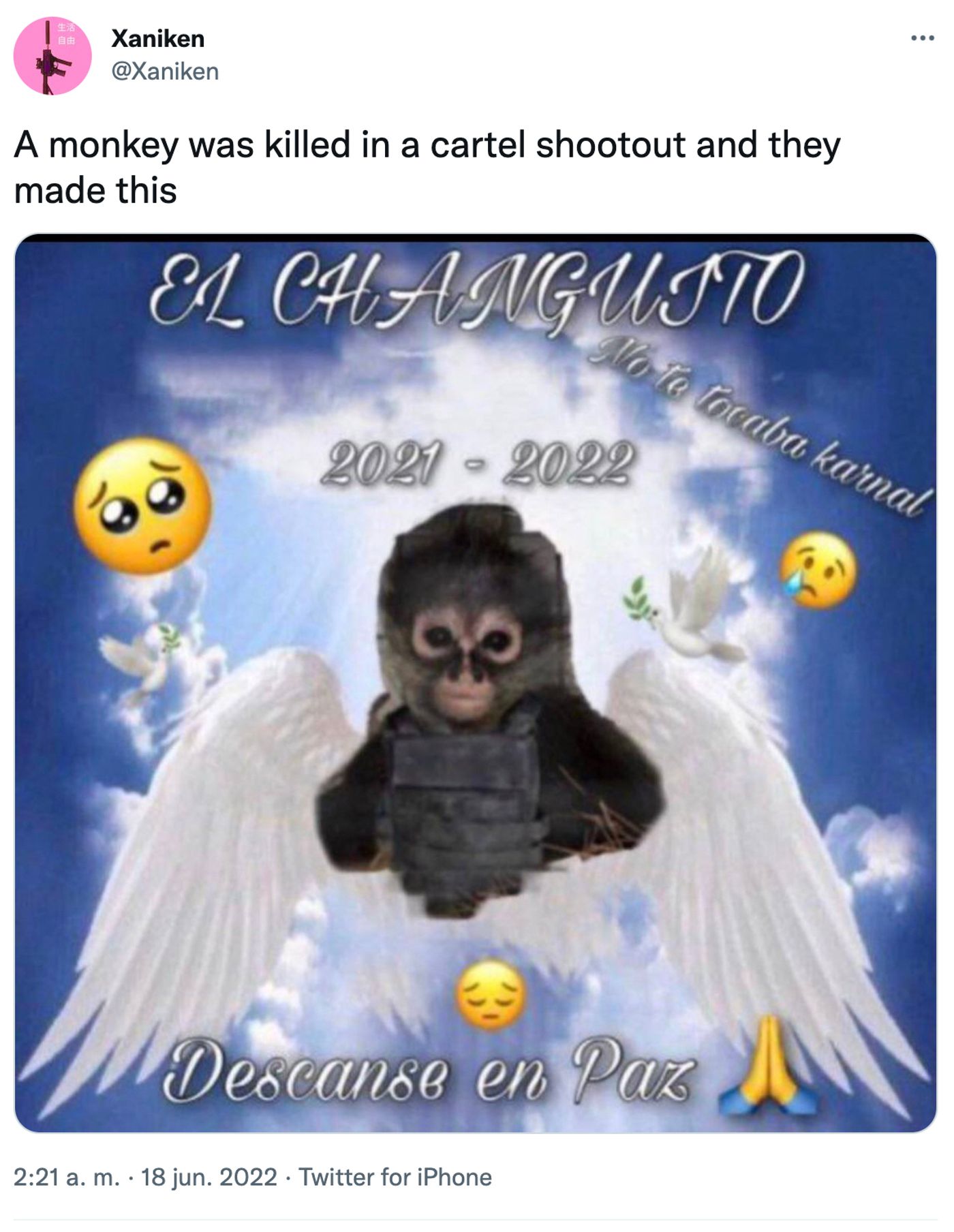 Monos muertos en combate. <a href="https://twitter.com/Xaniken/status/1537953503150104576" target="_blank"> Ver tuit </a>