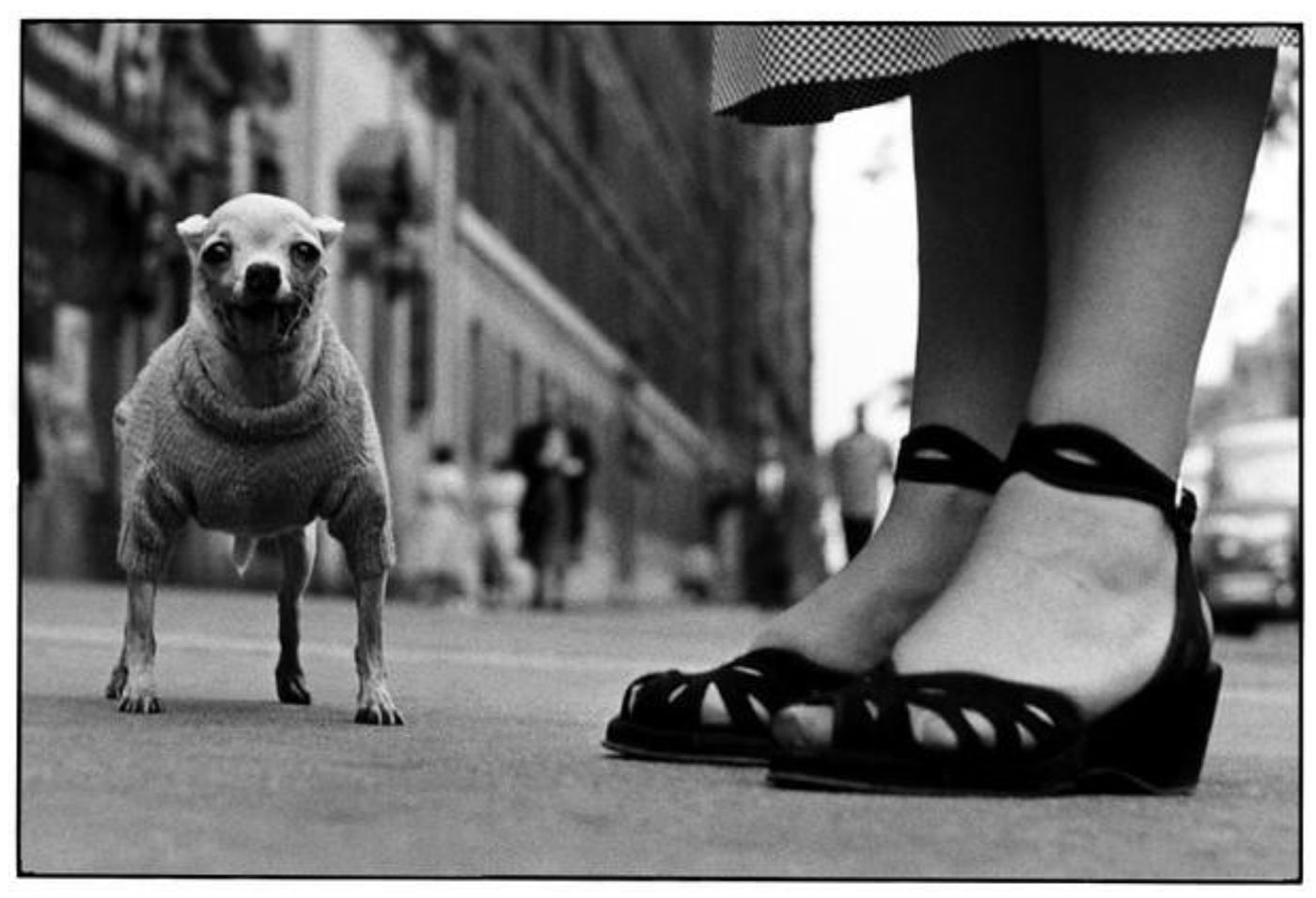  Elliott Erwitt, “New York City, 1946”.