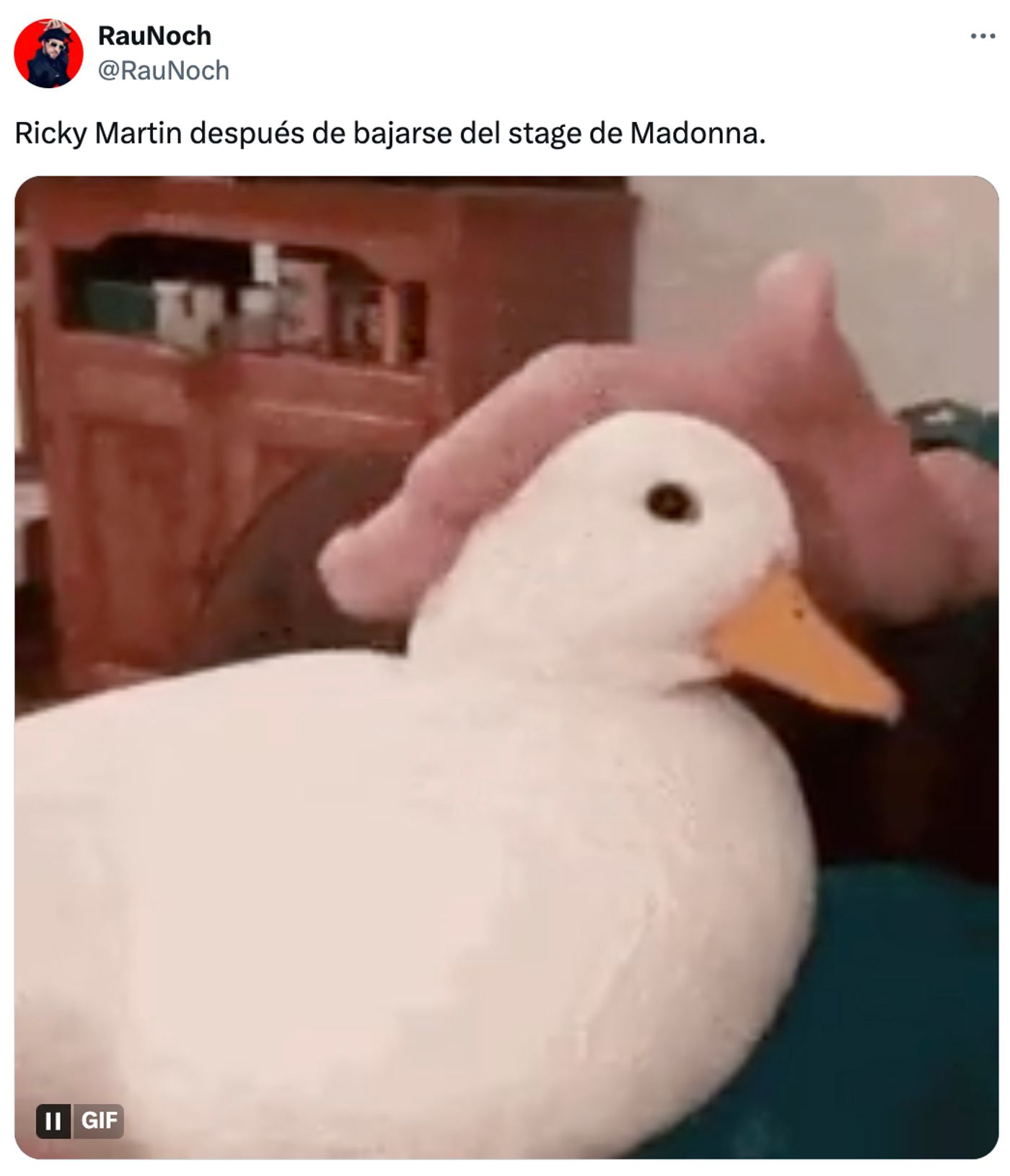 Dulce patito.<a href="https://twitter.com/RauNoch/status/1777494343902765367" target="_blank"> Ver tuit </a>