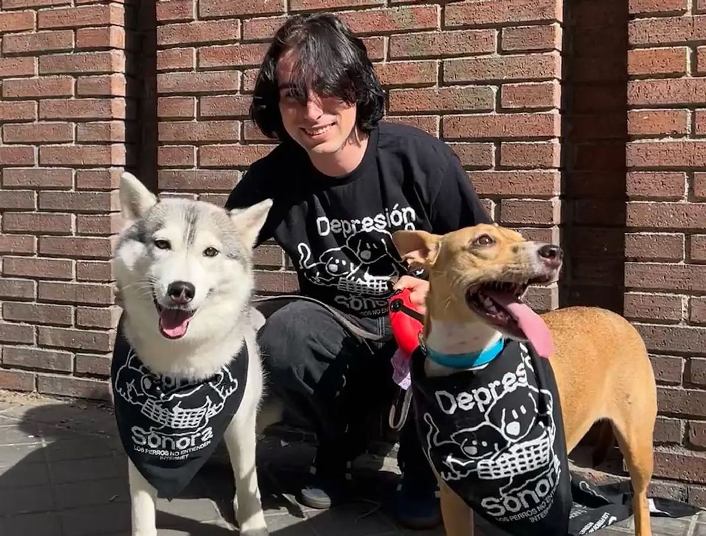 Depresión sonora: amor canino.