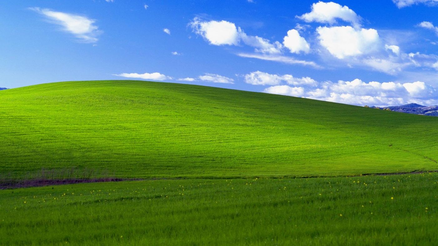 “La hierba no es propiedad de Zelda”.