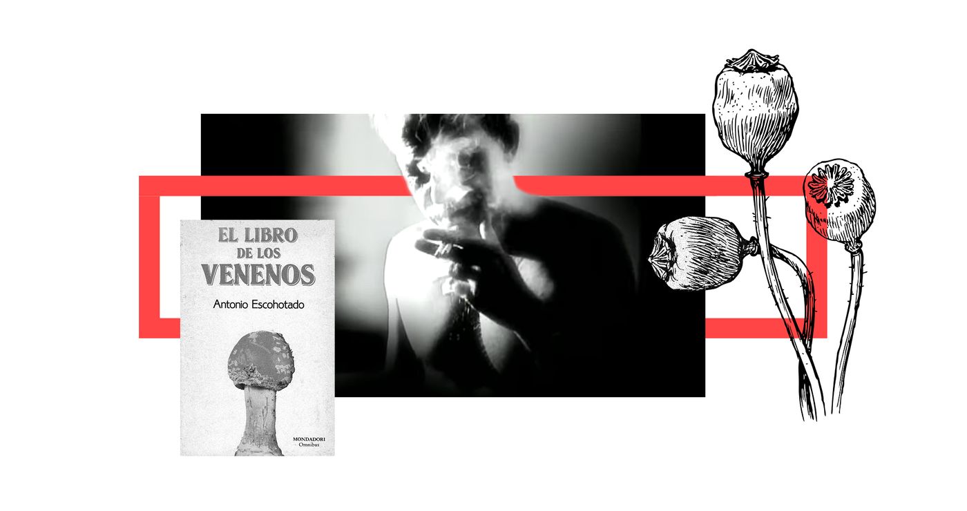 https://assets.primaverasound.com/psweb/cs2vcetkpz37w98owx66_1643042456143.jpg