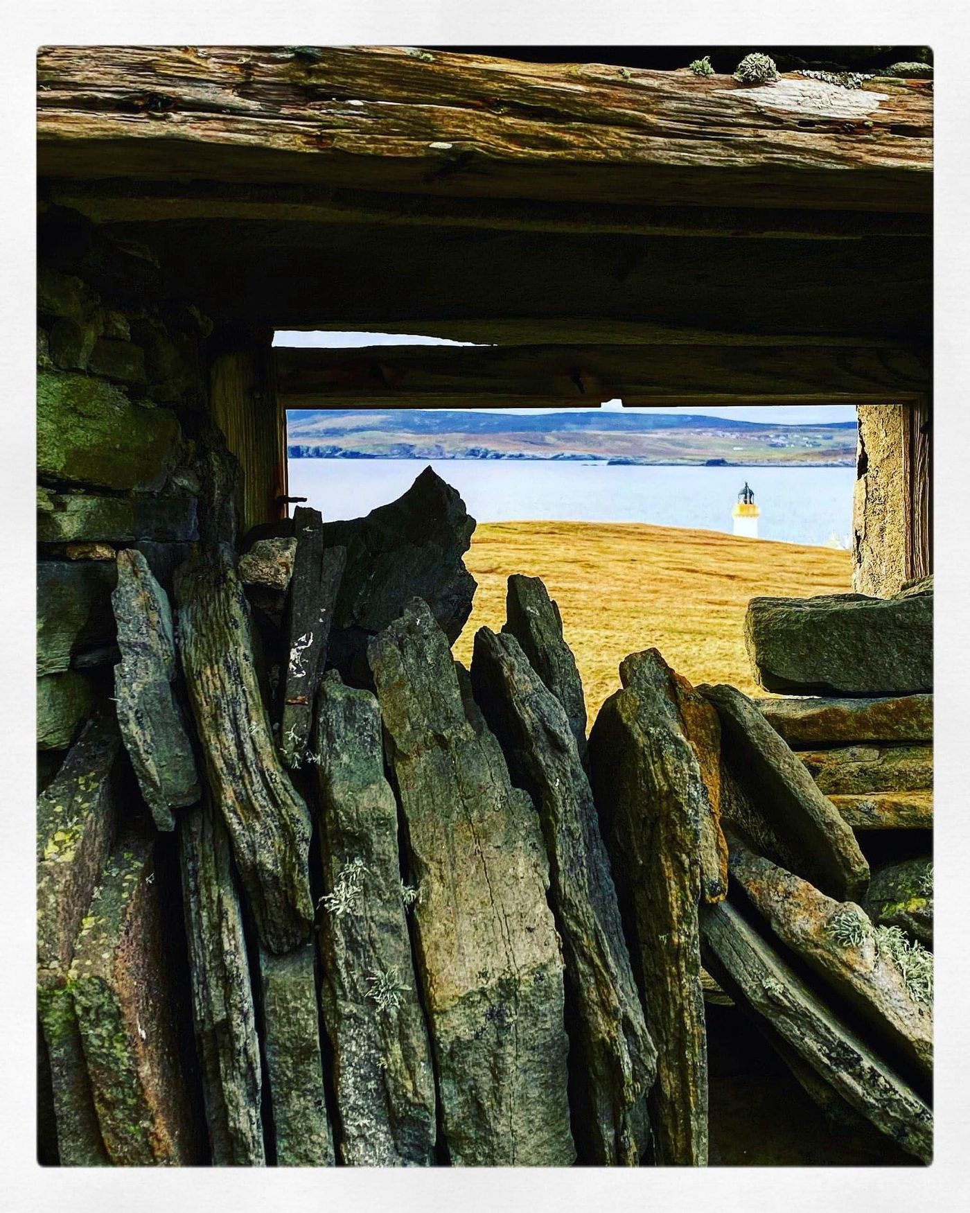 La naturaleza, motivo recurrente en “Overwintering”. Foto: Beth Arzy