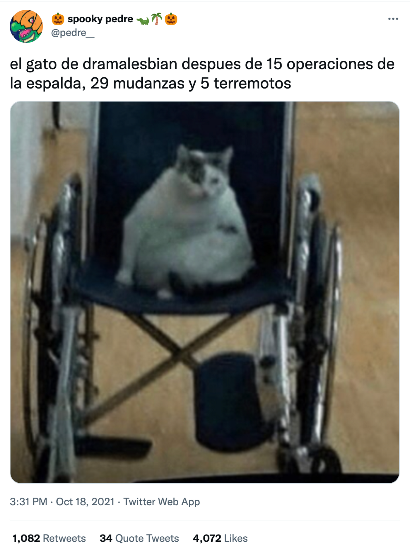 El gato de Dramalesbian como excusa. <a href="https://twitter.com/pedre__/status/1450092065908346882" target="_blank"> Ver tuit </a>
