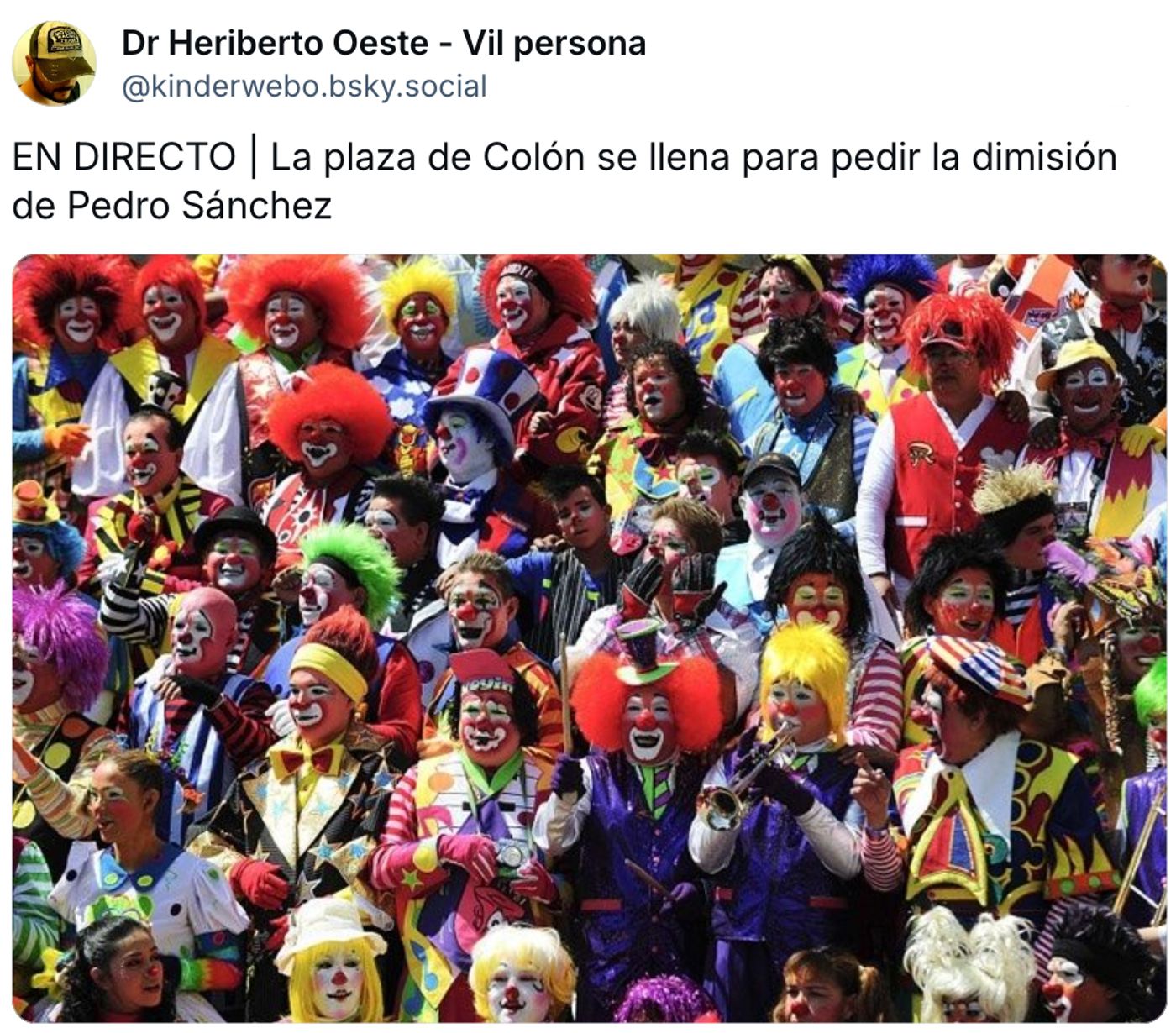 Payasos manifestándose.<a href="https://bsky.app/profile/kinderwebo.bsky.social/post/3lot24vc2xs2w" target="_blank"> Ver post </a>