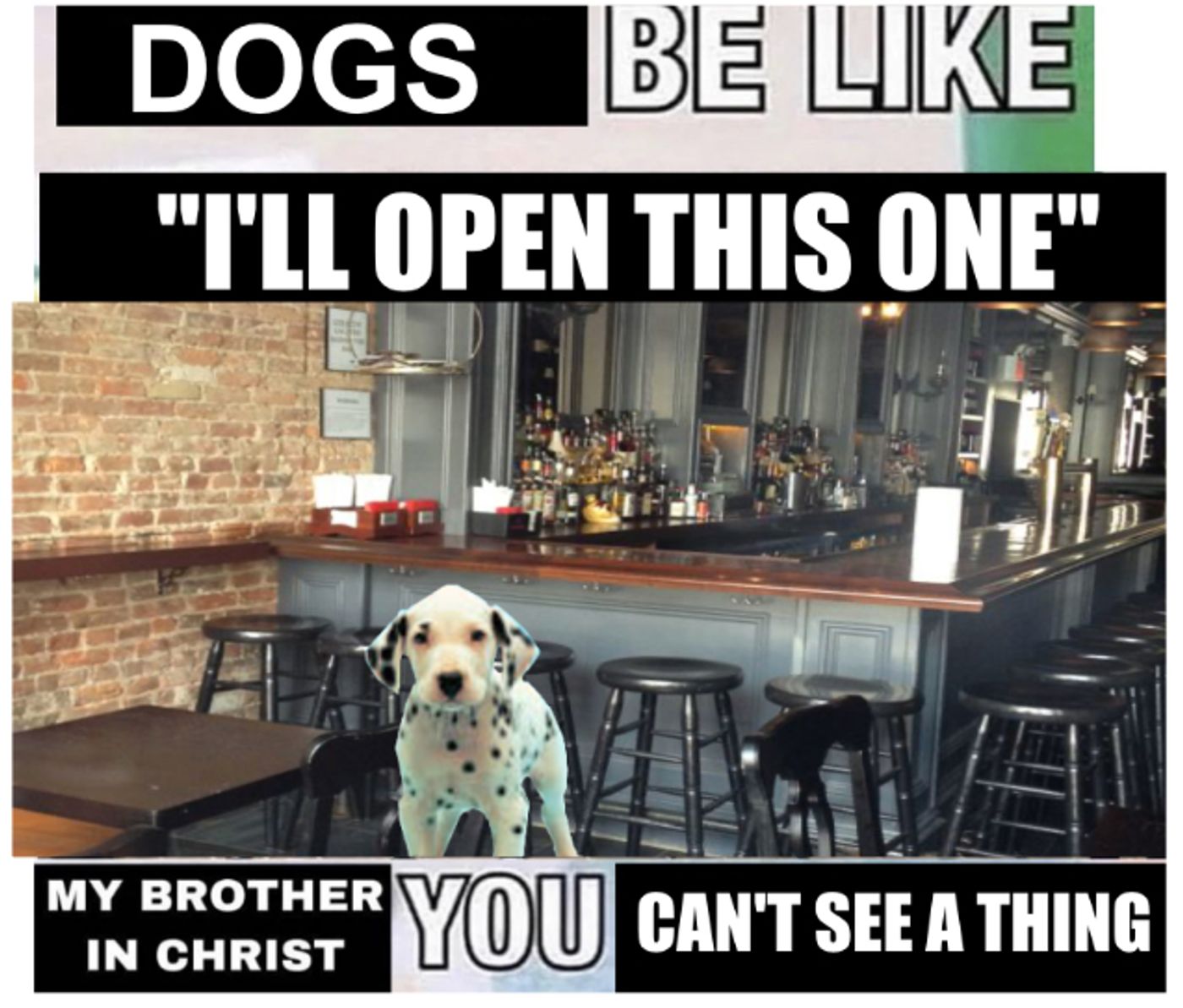 “Un perro entra en un bar y dice ‘no puedo ver nada, abriré este’”.