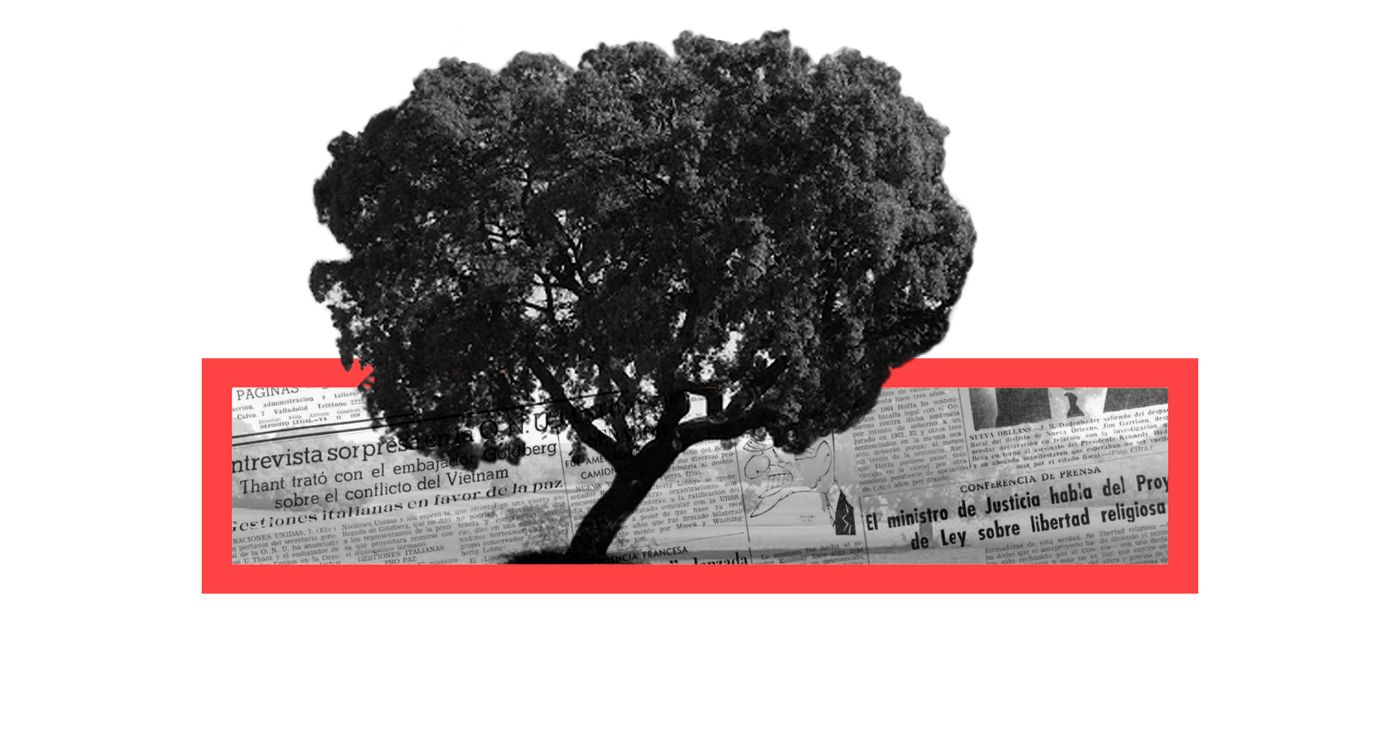 https://assets.primaverasound.com/psweb/h8jozoel4pbktc7w4nha_1635158001304.jpg