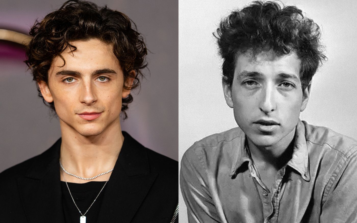 Chamelet-Dylan.