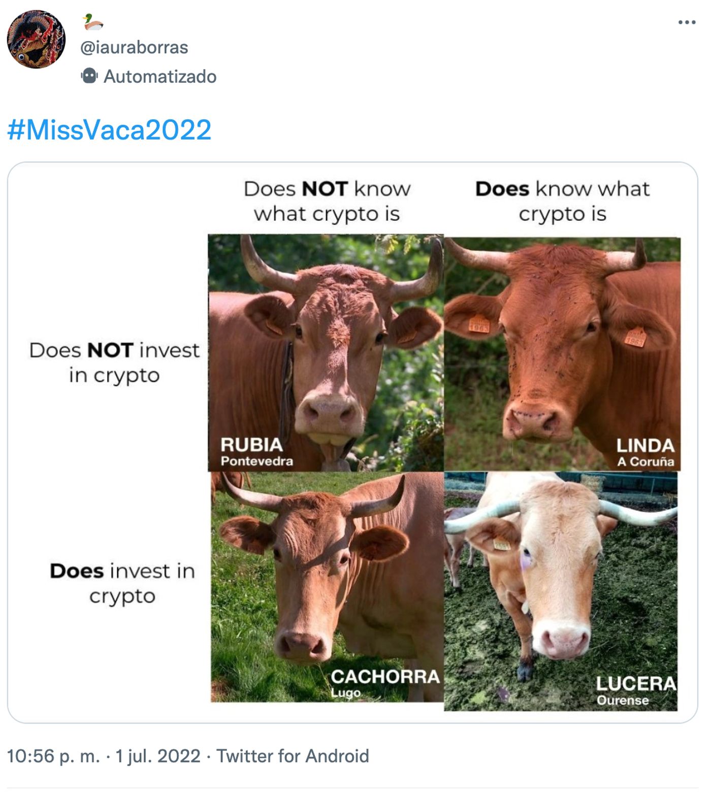 Vacas preciosas.<a href="https://twitter.com/iauraborras/status/1542975402104217607" target="_blank"> Ver tuit </a>