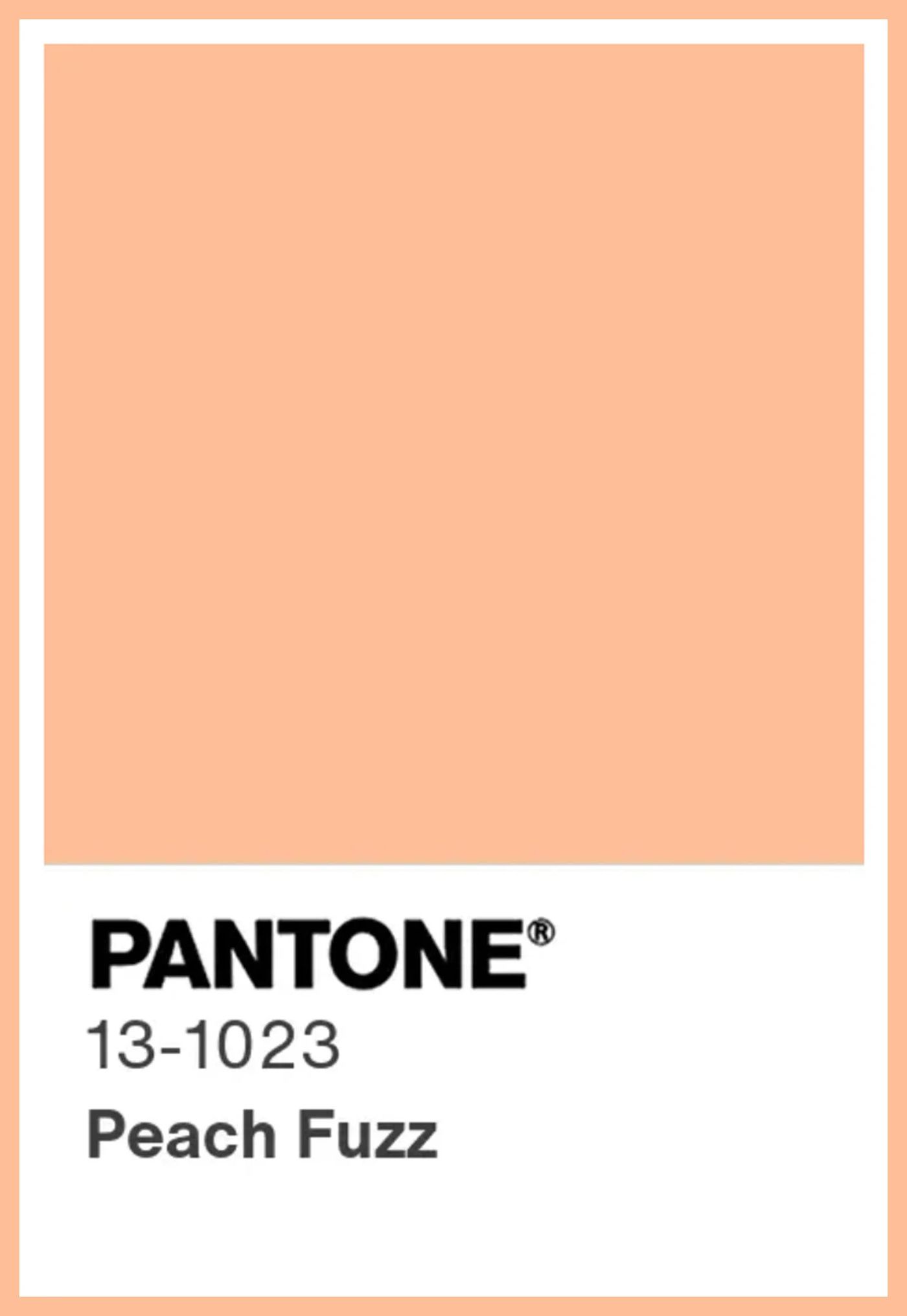 Peach Fuzz 13-1023. El color del año según Pantone. Pues vale.