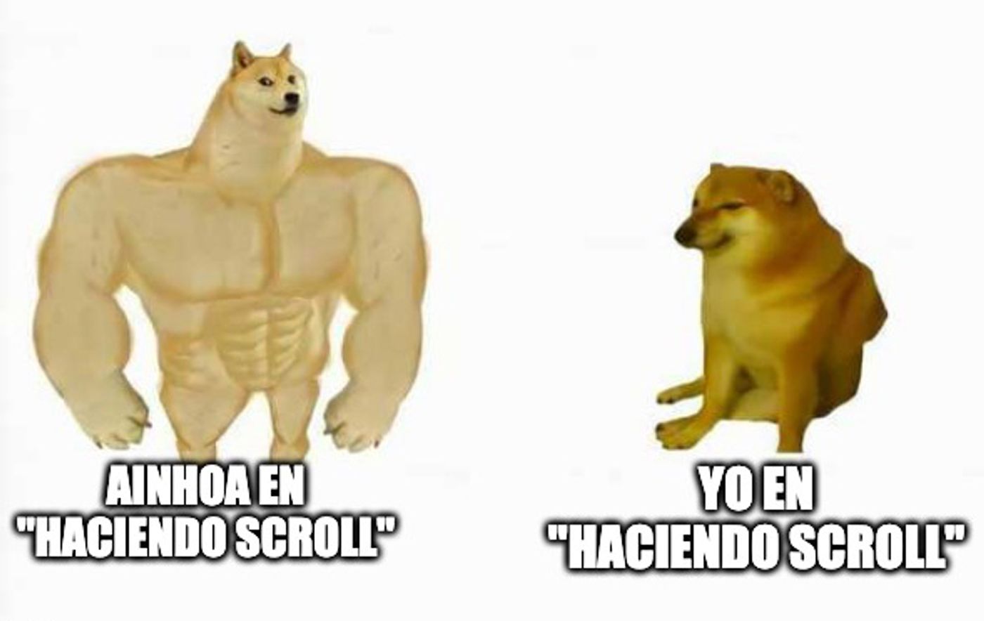 A decir verdad, Ainhoa es el perro grande de esta columna.