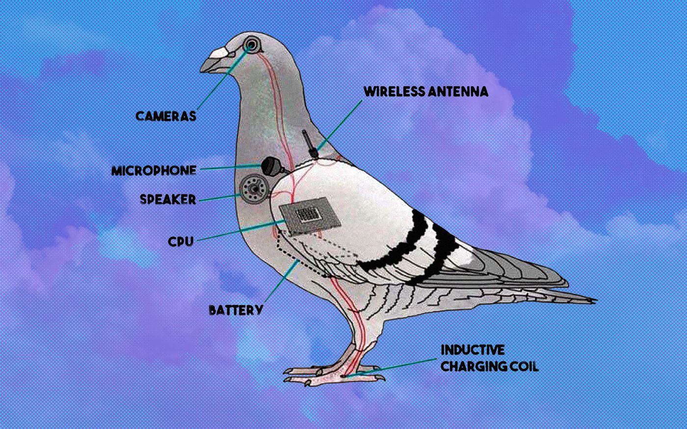 Birds Aren’t Real, por supuesto.