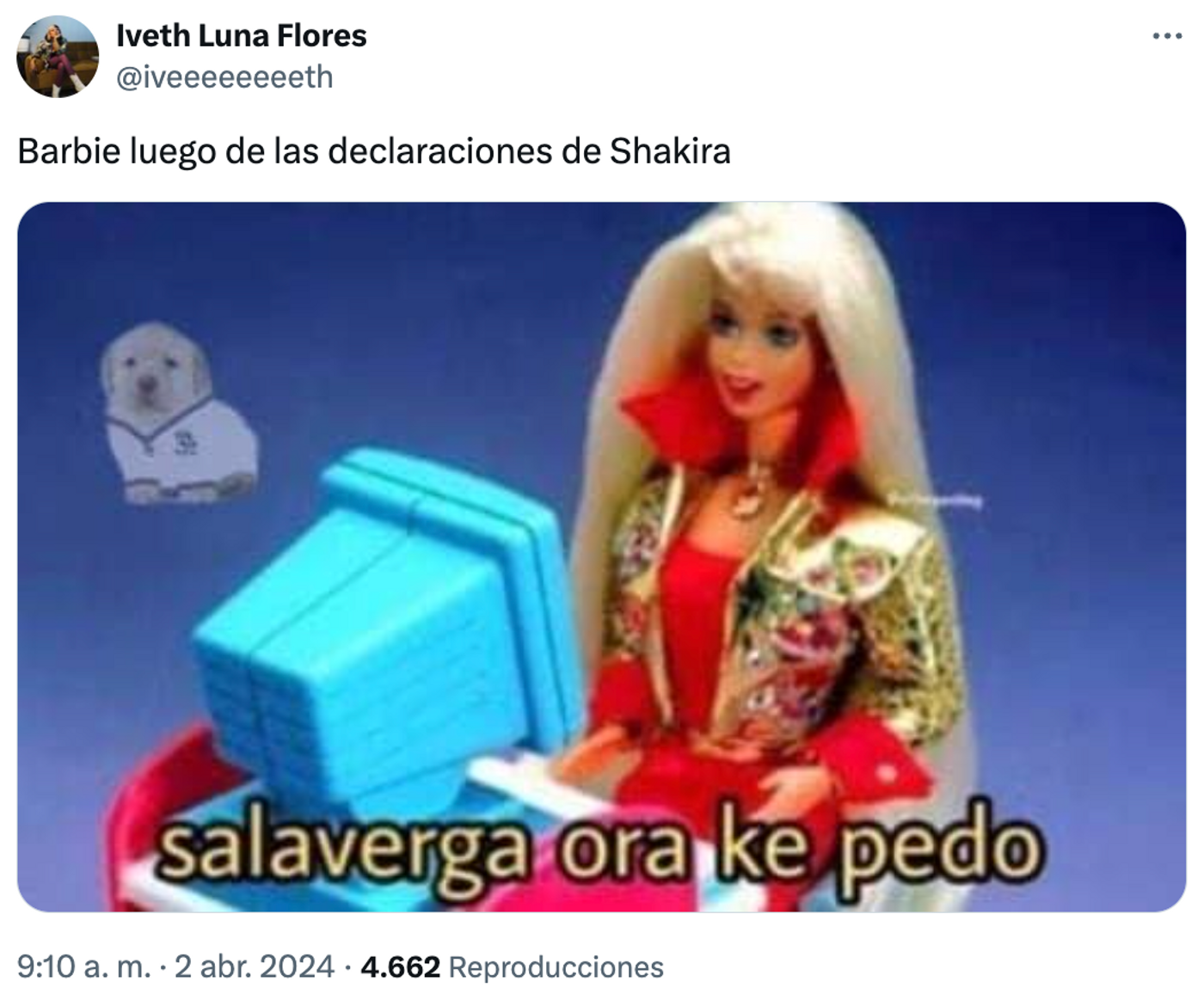 Cuestionando el modelo Barbie.<a href="https://twitter.com/iveeeeeeeeth/status/1775058275664363881" target="_blank"> Ver tuit </a>