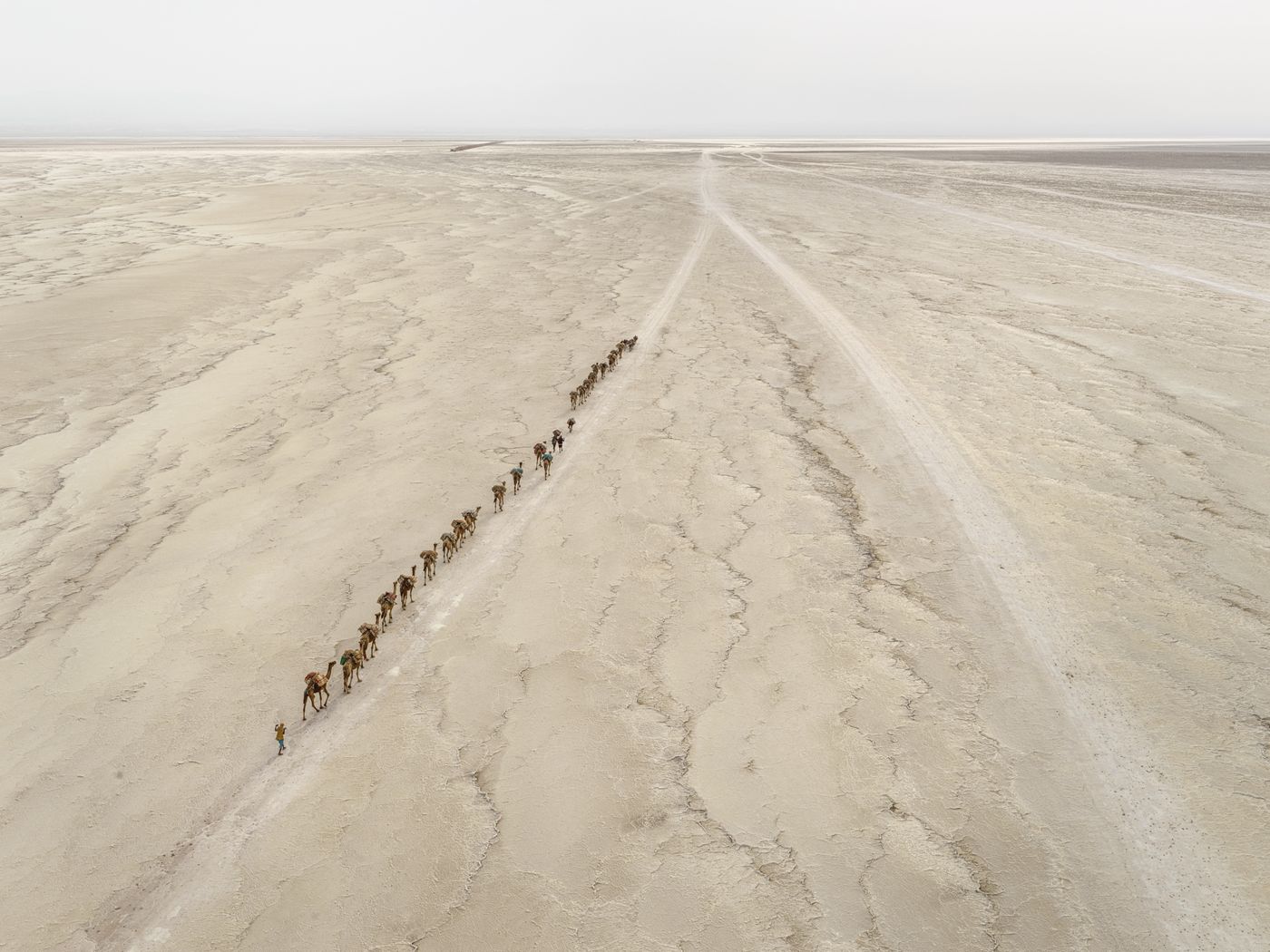 “Camel Caravan #1”. Depresión de Danakil, Etiopia, 2018 © Edward Burtynsky, cortesía de Nicholas Metivier Gallery, Toronto / Flowers Gallery, Londres.