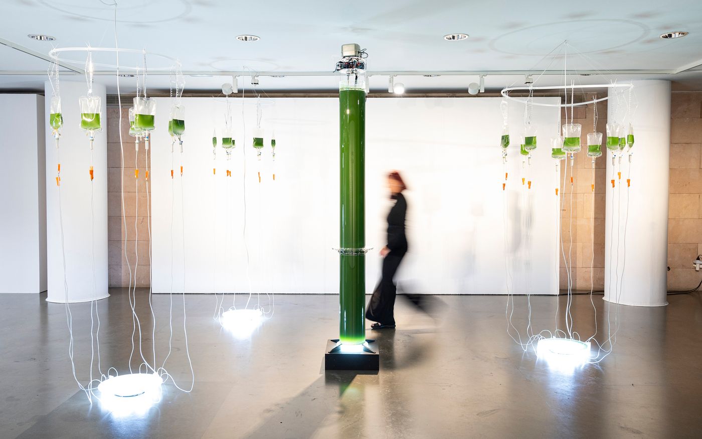 “BioAlgaeLab Interespecies”: ecologías fragmentadas. Foto: Markus Schroll