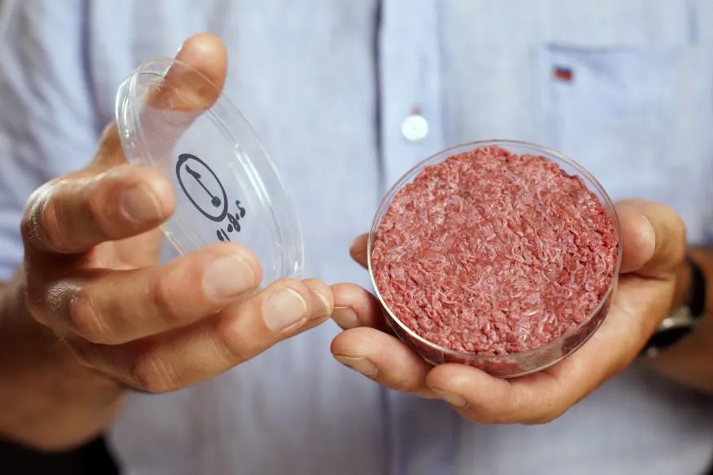 Estos tejidos han sido obtenidos en laboratorio, a partir de células originalmente de 3 milímetros. Crédito: Mosa Meat.