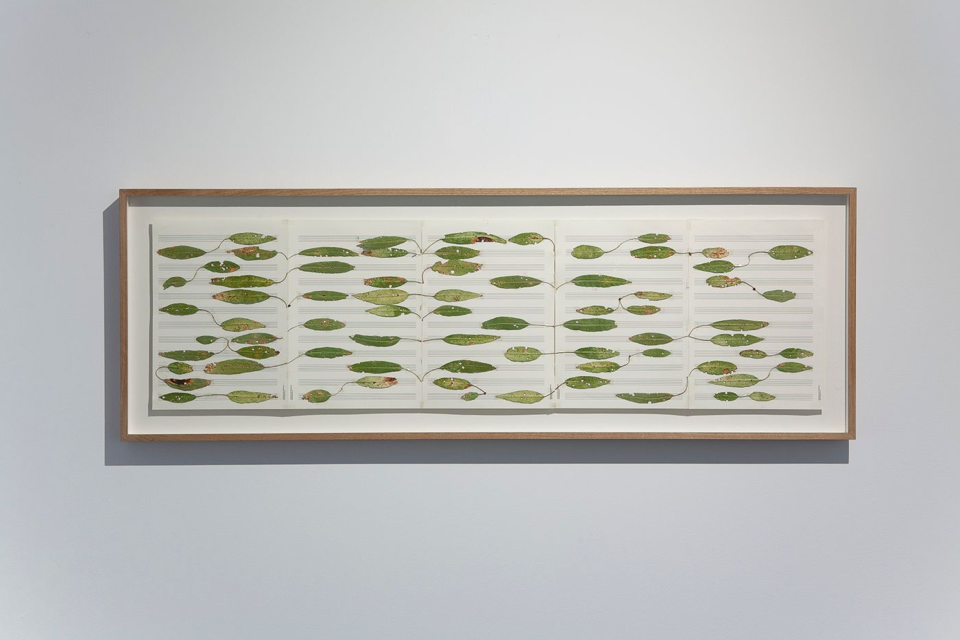 Una de las piezas de la serie “Hambre” de Juan Zamora, en “Doubling Ecologies”.