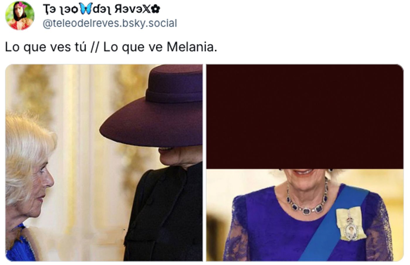 Ocultación del objetivo.<a href="https://bsky.app/profile/teleodelreves.bsky.social/post/3lz6ao2qmss2q" target="_blank"> Ver post </a>