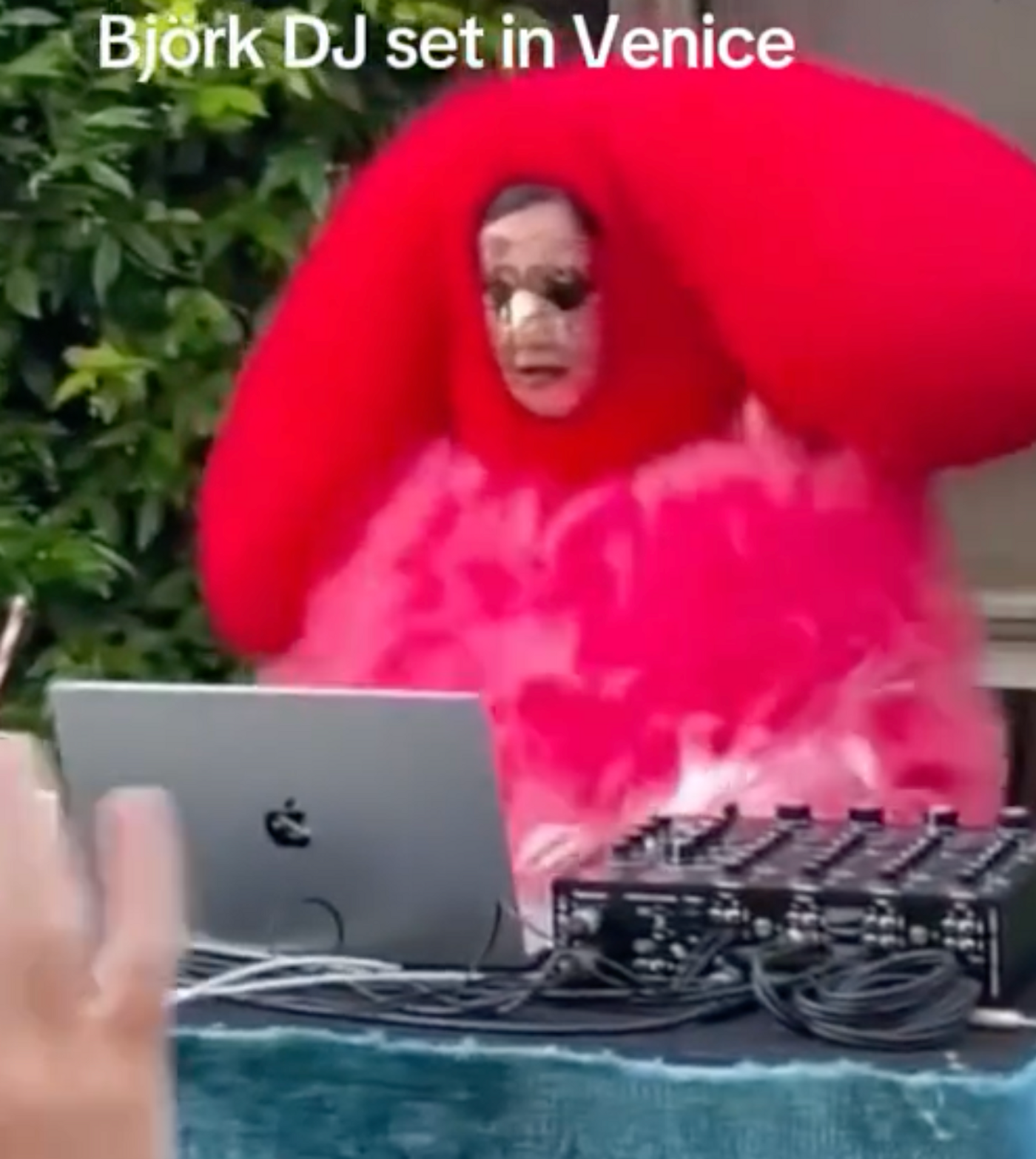 Björk sigue siendo única. <a href="https://www.tiktok.com/@mixmag/video/7637461092905602326" target="_blank"> Ver post </a>