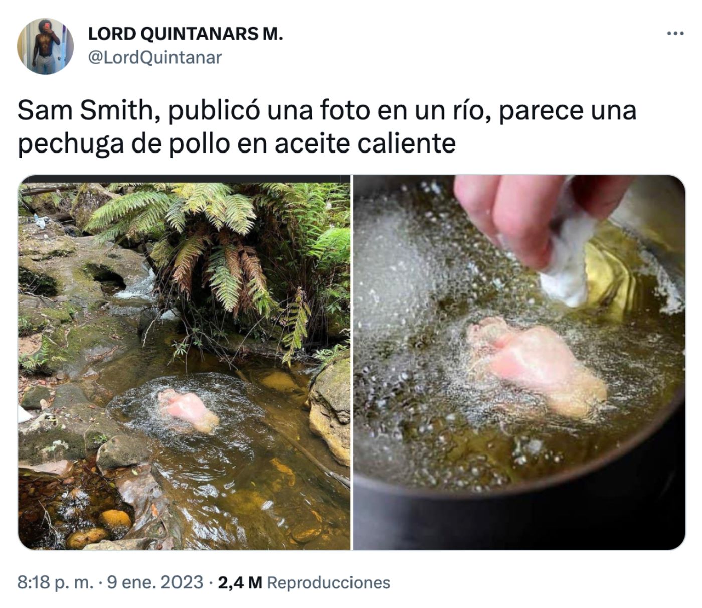 El ingenio de un genio de las comparaciones.<a href="https://twitter.com/LordQuintanar/status/1612529338519355392?cxt=HHwWgIC8xfm47eAsAAAA" target="_blank"> Ver tuit </a>