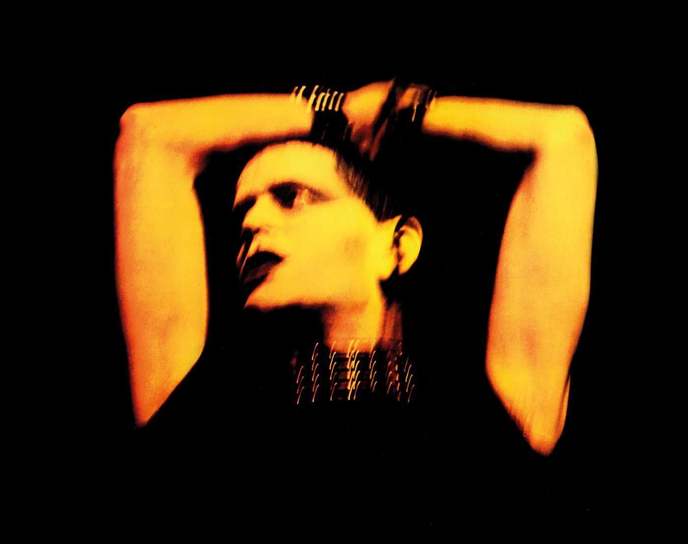 El cabaret animal de Lou Reed. Foto: Dalrymple
