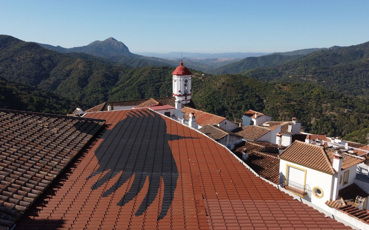 “Sombra del Buitre”, de Juan Zamora (2014).