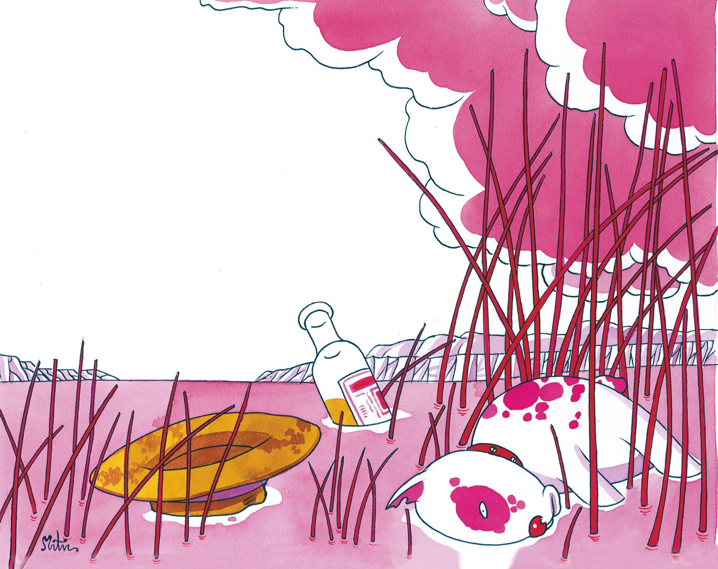 Los restos del naufragio. Ilustración: Miguel Ángel Martín