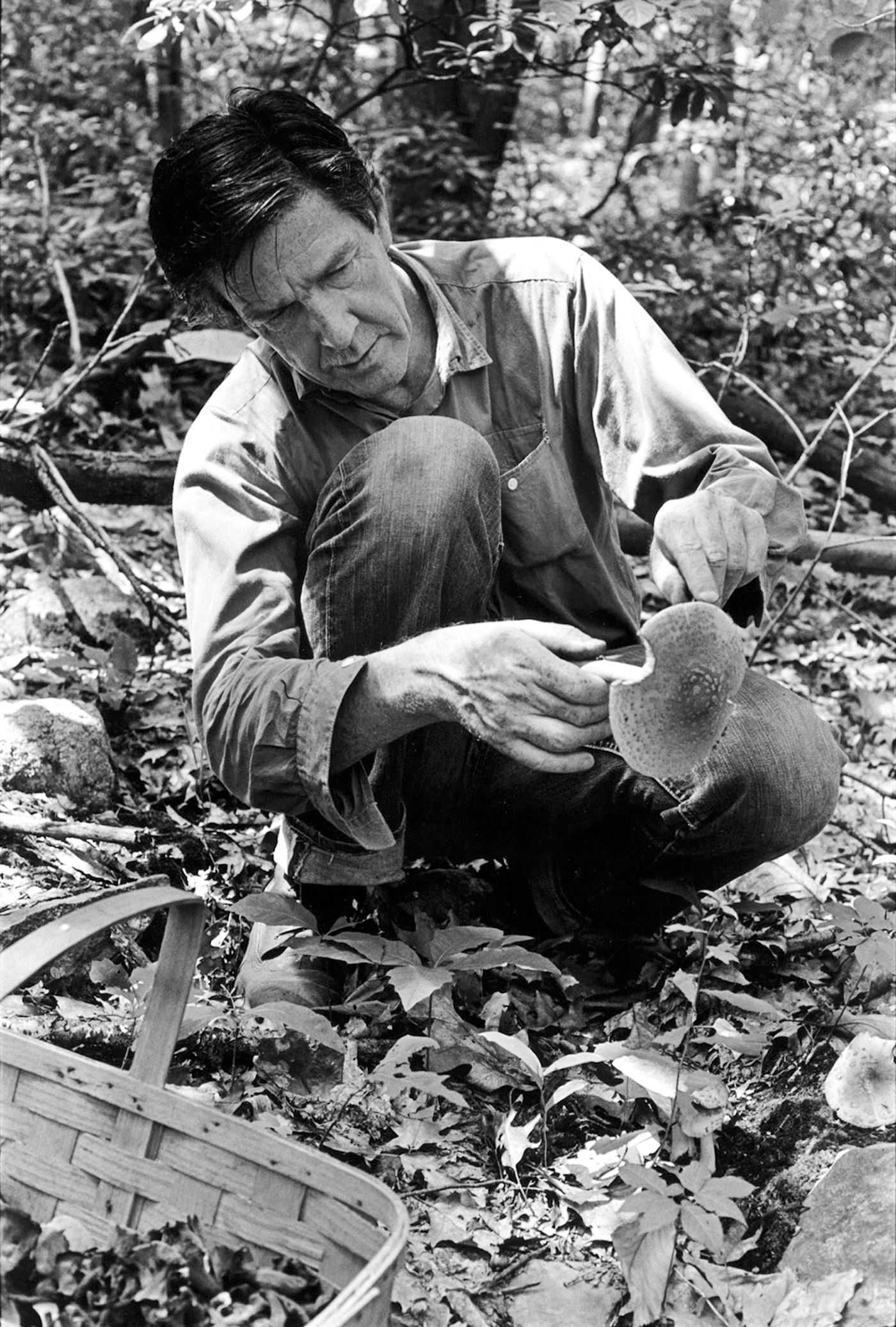 También fue coleccionista de setas.