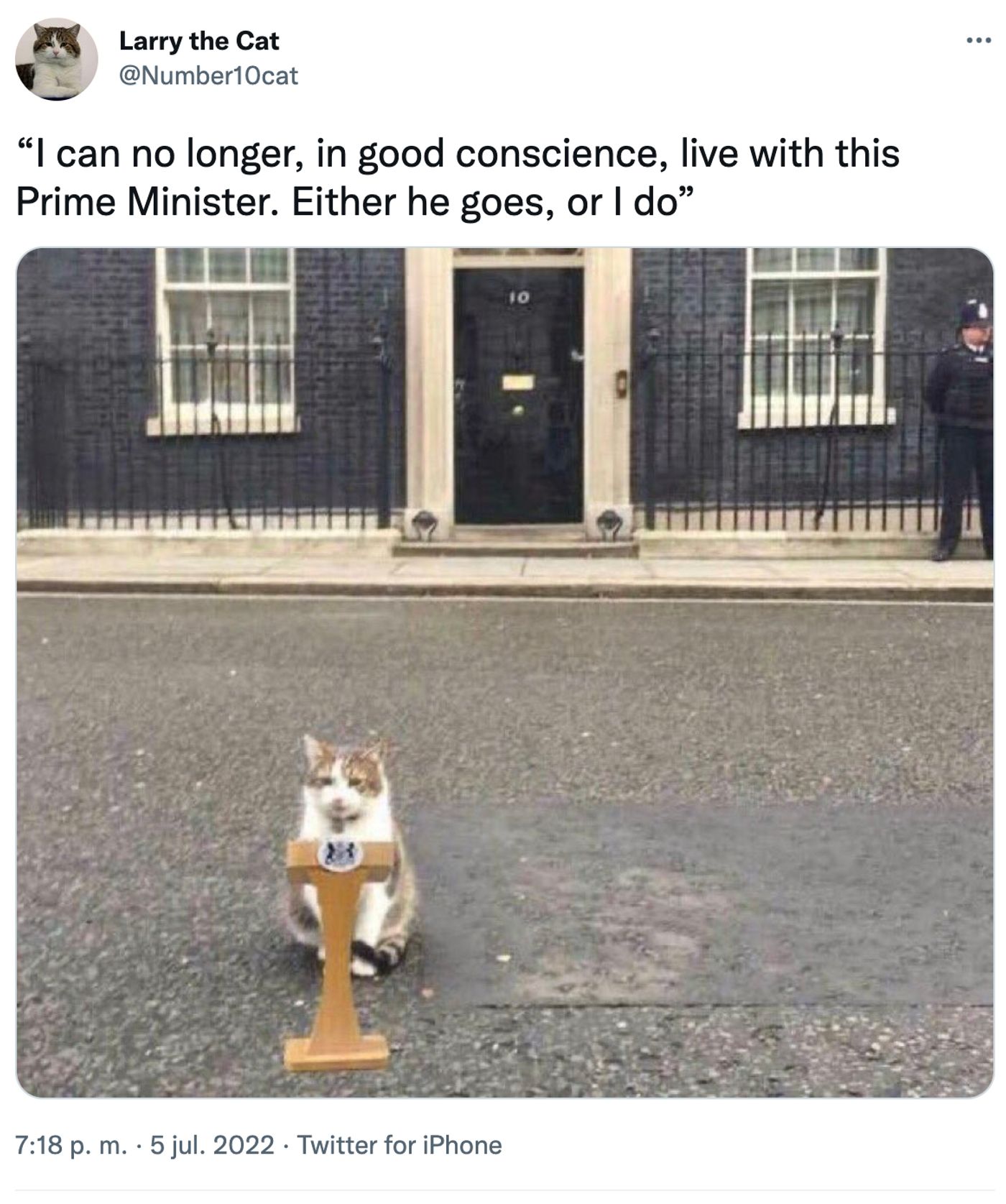 El verdadero Primer Ministro.<a href="https://twitter.com/Number10cat/status/1544370237432381441" target="_blank"> Ver tuit </a>