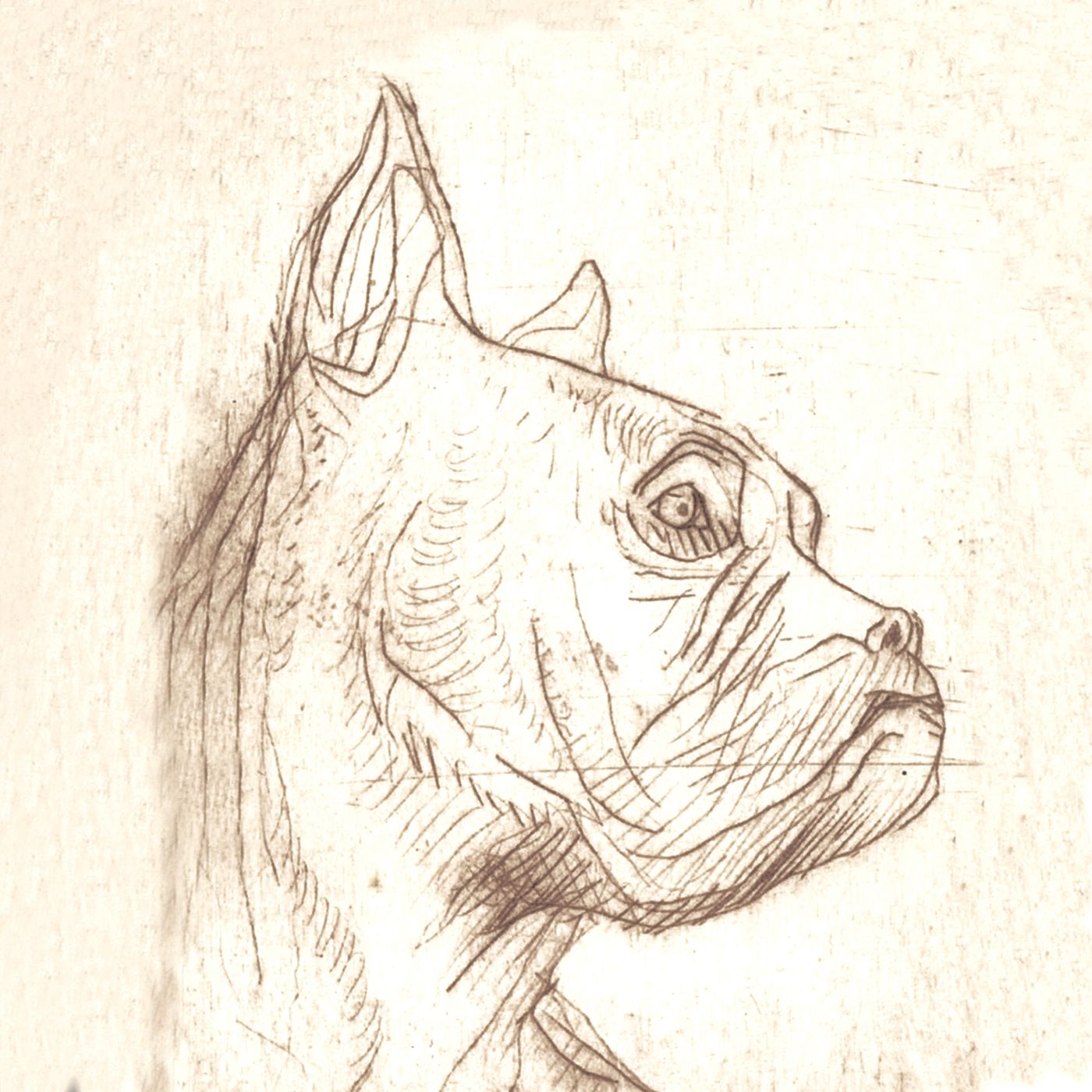 Uno de los dibujos de Joan Serra que ilustran el disco.