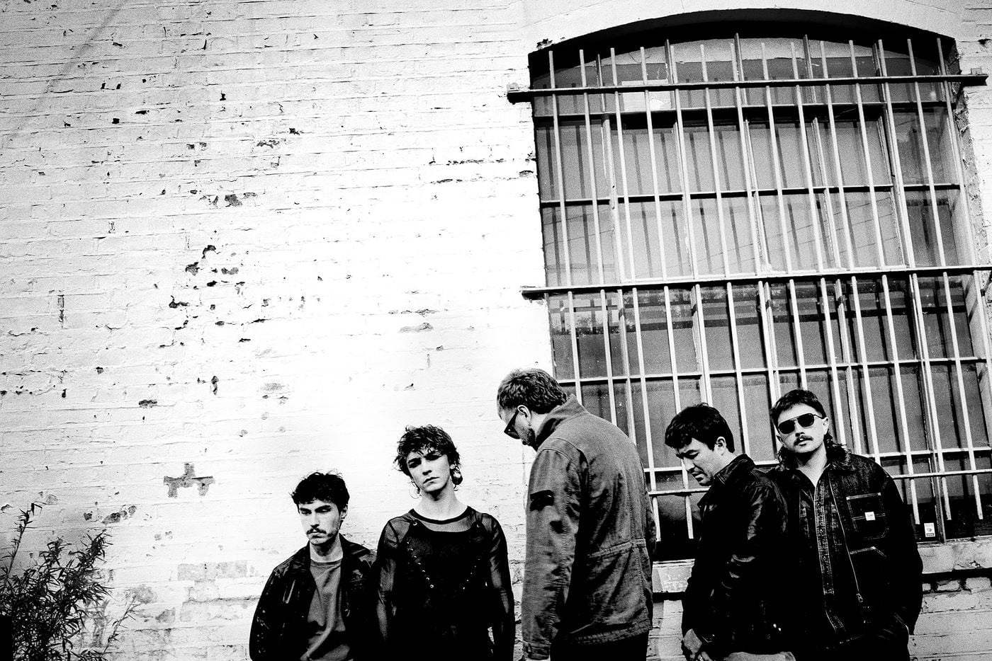Mark McCormack, Charly McCarthy, Pierce Callaghan, Dan Hoff y Ben O'Neill. Foto: Steve Gullick