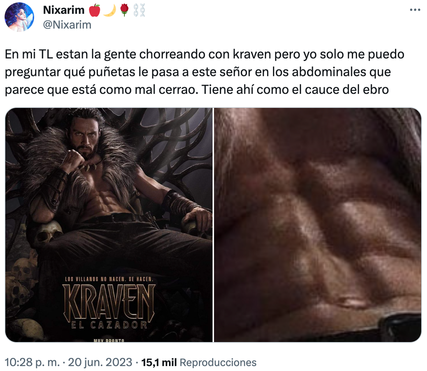 Problemas de abdominales.<a href="https://twitter.com/Nixarim/status/1671253792921387009" target="_blank"> Ver tuit </a>