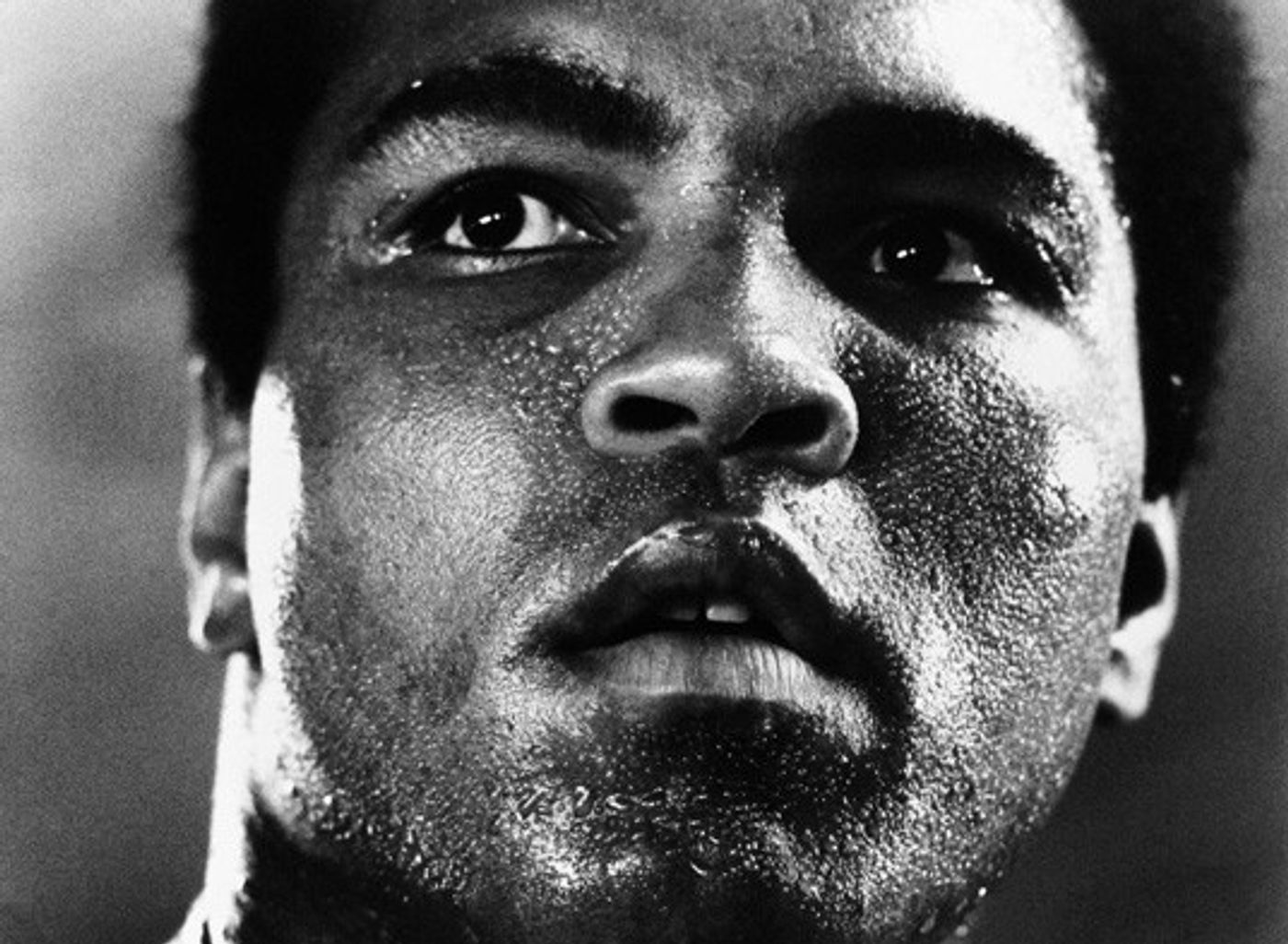 El Bocazas más Grande que ha existido jamás, el Carisma por Excelencia, un Genio de la Comunicación aplicada al Deporte, The Louisville Lip, simplemente Muhammad Ali.