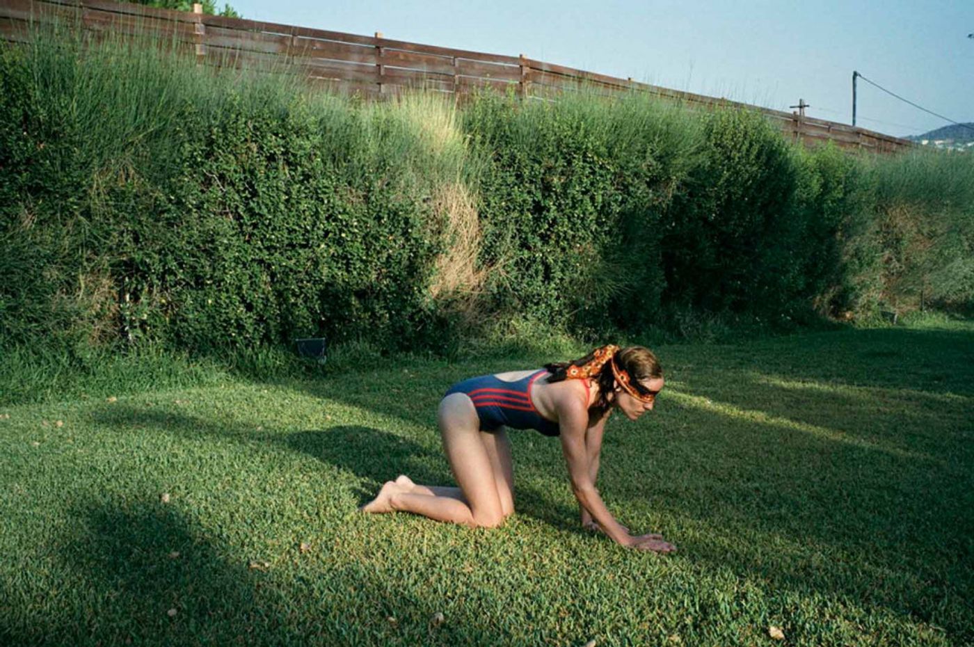 https://assets.primaverasound.com/rdl/images/yorgos-lanthimos_canino_1.jpg