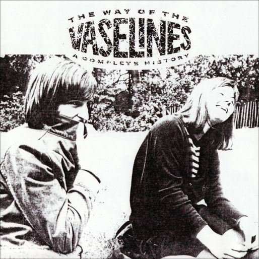 Nirvana & The Vaselines CDコレクション The Vaselines
